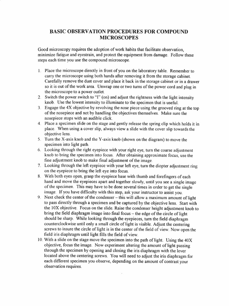 Basic Observation Procedures For Compound Microscopes PDF Glass