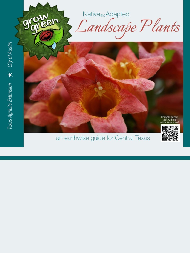 Central Texas Native Plant Guide | PDF | Trees | Environmental Design