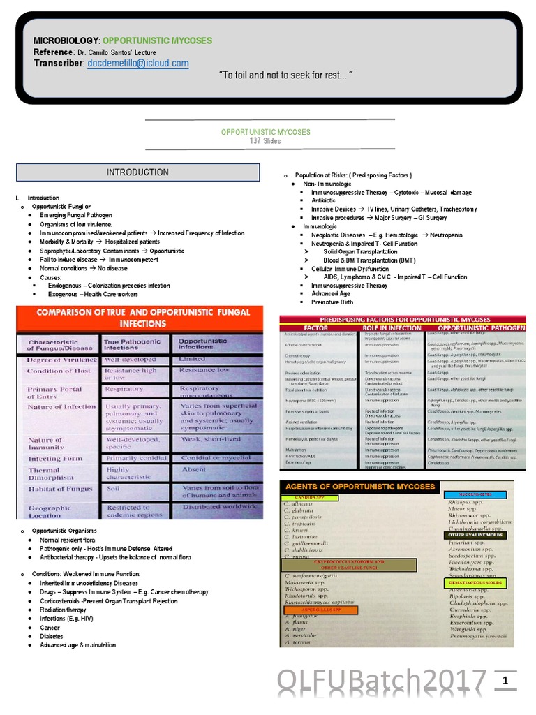 Opportunistic Mycoses in Microbiology | PDF | Candidiasis | Candida ...