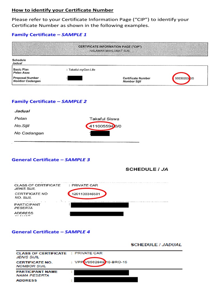 Family Certificate Number Identification | PDF