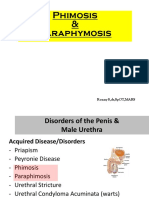 P&P: Penatalaksanaan Fimosis dan Parafimosis