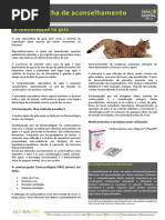 20 Contracepção Na Gata