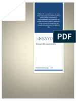 Ensayo de Desarrollo Sustentable