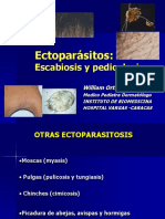 Ectoparasitosis Definitiva