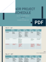 Minor Project Schedule