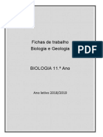 Fichas de trabalho Biologia e Geologia 11o Ano - DNA e replicação