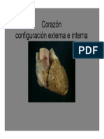 Cardio.pdf