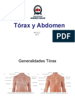 Clase 5 Torax y Abdomen Parte 1