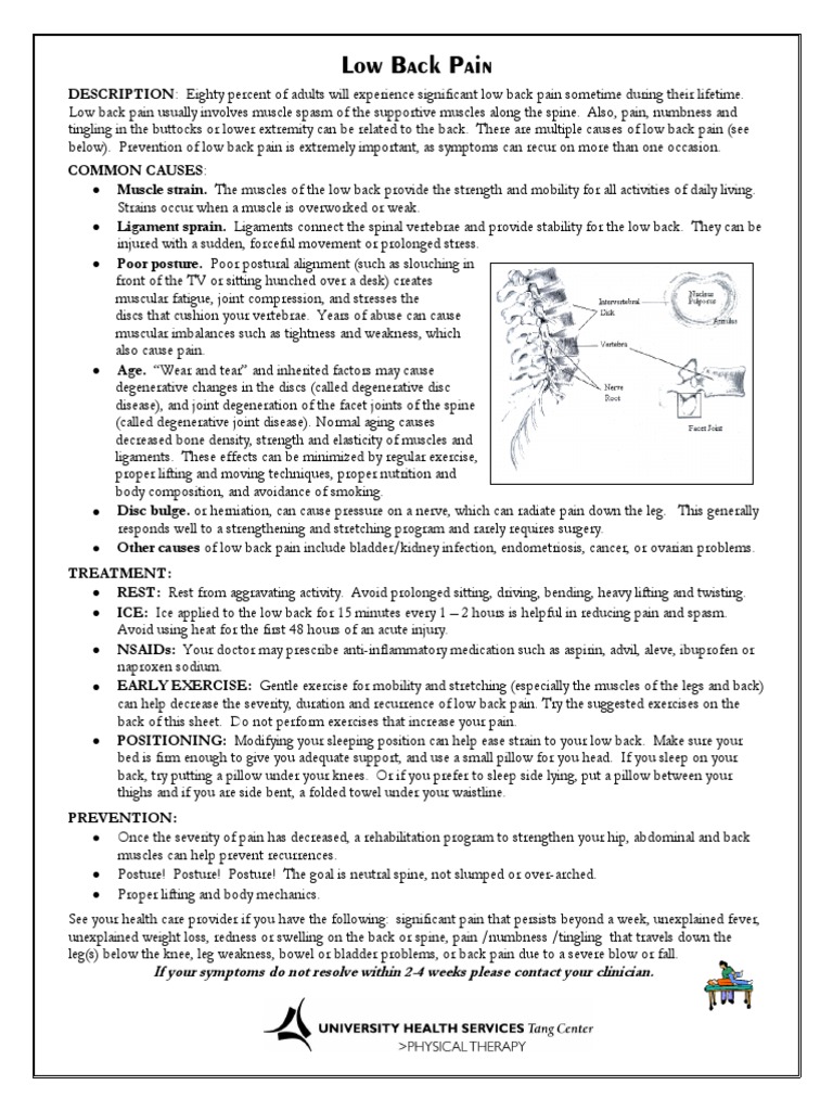 Lowbackpain PDF | PDF | Back Pain | Low Back Pain