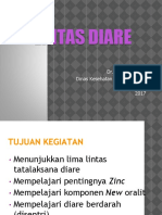 Lintas Diare 2017