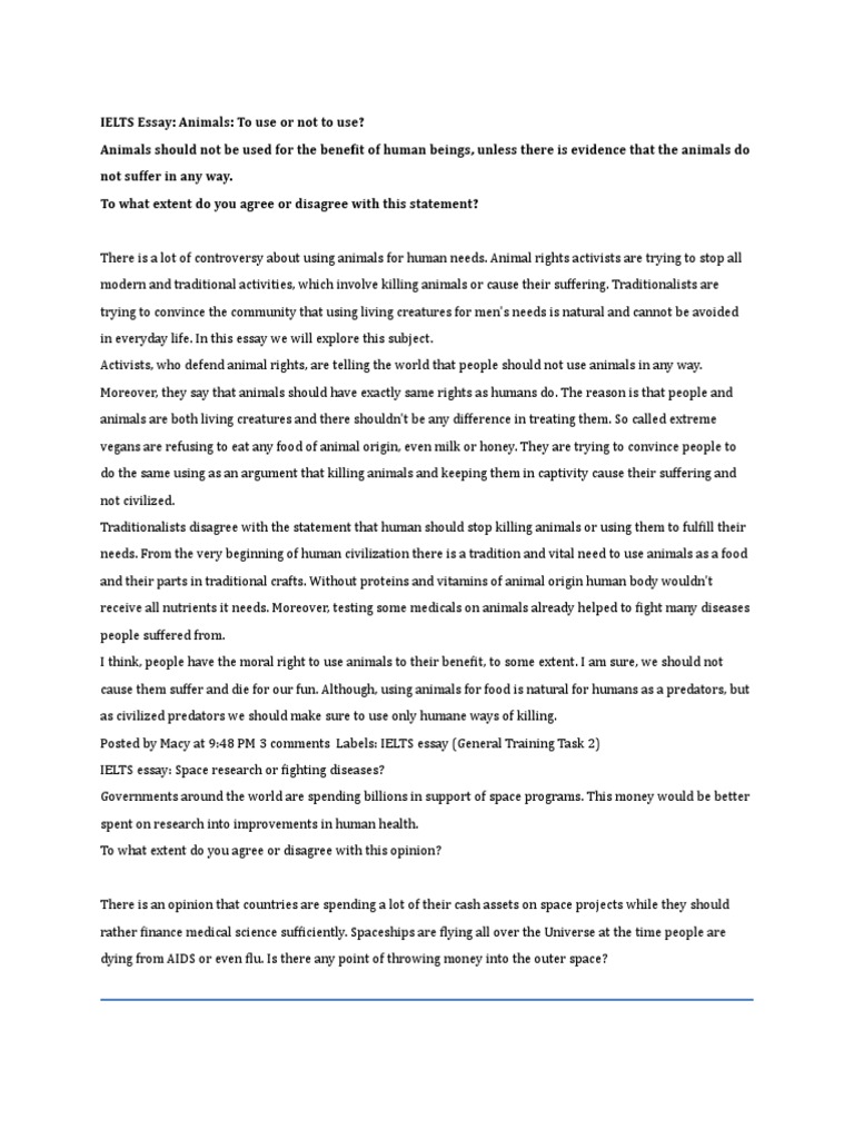 Cheap reddit What is essay plan