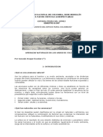 amn-and-colombia.pdf