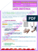 12 4 Rote Teorica Anatomia Paatologica PDF