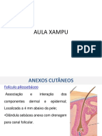 Aula Xampu