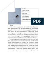 Semut Adalah Semua Serangga Anggota Suku Formicidae, Bangsa Hymenoptera