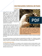 09._La_CIC_del_Suelo[1].pdf