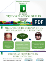 Tejidos Blandos Orales