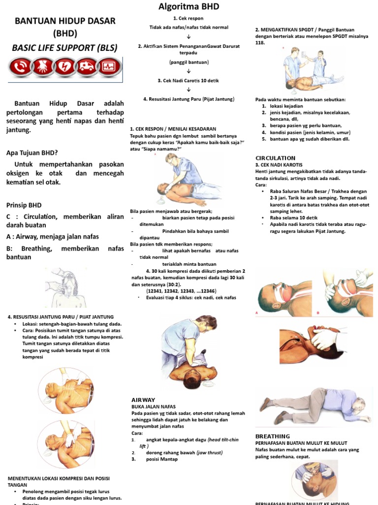 Leaflet Bantuan Hidup Dasar Pdf