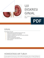 Uji Ekskresi Ginjal