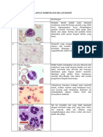 Kelainan Leukosit