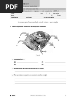 100_Vida_FichaAvaliacao.doc