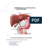 Pat Chir A Ficatului Si Cailor Biliare Curs PDF