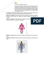 Terminología Anatómica