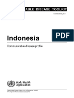 Indonesia Profile Jul 2006 PDF