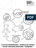 Smartkids Ciclo de Transmissao Doenca de Chagas