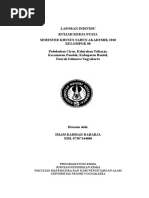 Download LAPORAN KKN by Hithoosy ImammuRa SN39038721 doc pdf