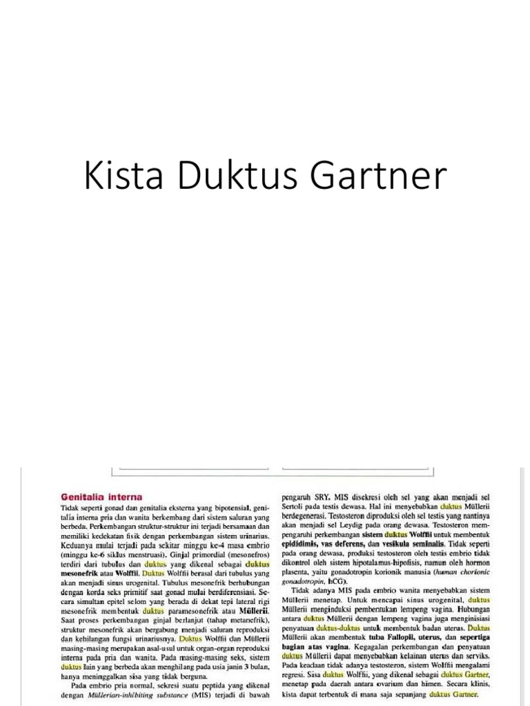 Kista Gartner Pdf Pdf Service