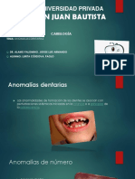 anomalias dentarias