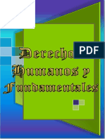 Derechos Fundamentales