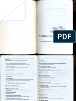 CASTRO E. Numeros y Operaciones PDF