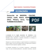 Economía de La Región Amazónica