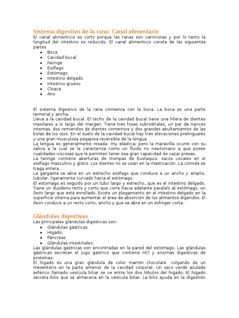 Sistema Digestivo de la Rana | PDF | Sistema digestivo humano | Digestión