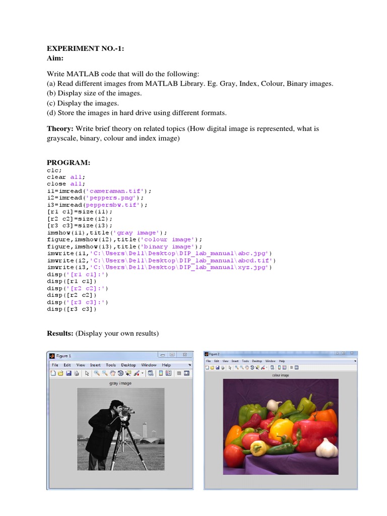 DIP Lab Report Format | PDF