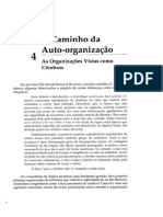 Morgan - A Criação Da Realidade Social - As Organizações Vistas Como Cérebros