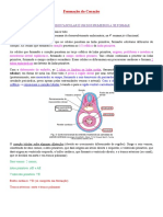 Embriologia Cardiovascular