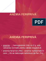 09-2 Anemia Feripriva 2013