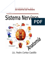 Modlo Sistema Nervioso - Usp