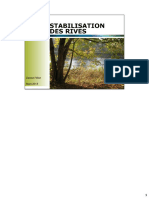 la_stabilisation_des_rives_DFillion.pdf
