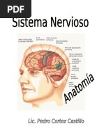 Modulo Sistema Nervioso - Jorge Basadre Semana 4