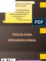 Psicologia y Cultura Empresarial PDF