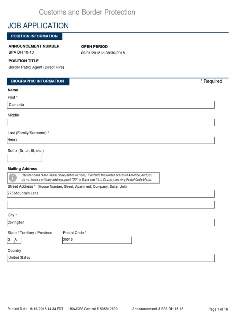 Border Patrol Agent Job Application | PDF | Theft | U.S. Customs And ...