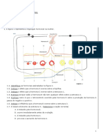 Regulação Hormonal