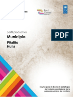 Perfil Productivo Municipio de Pitalito