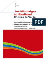 Das Microalgas Ao Biodiesel