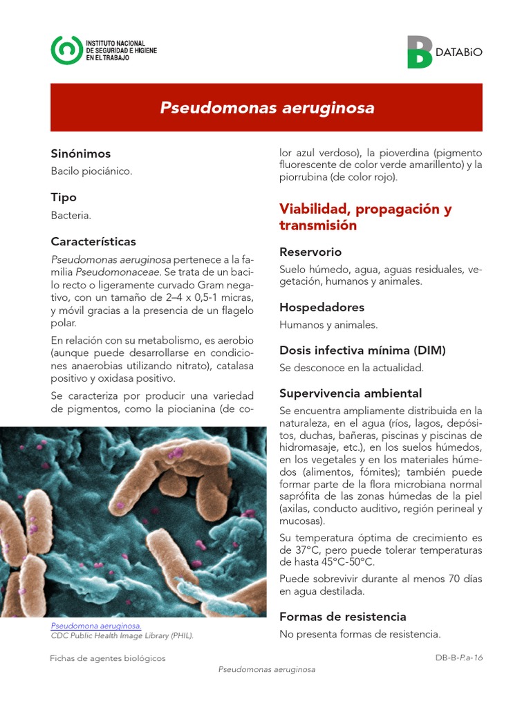 Pseudomonas Aeruginosa 2017 | PDF | Pseudomonas | Clavo (anatomía)