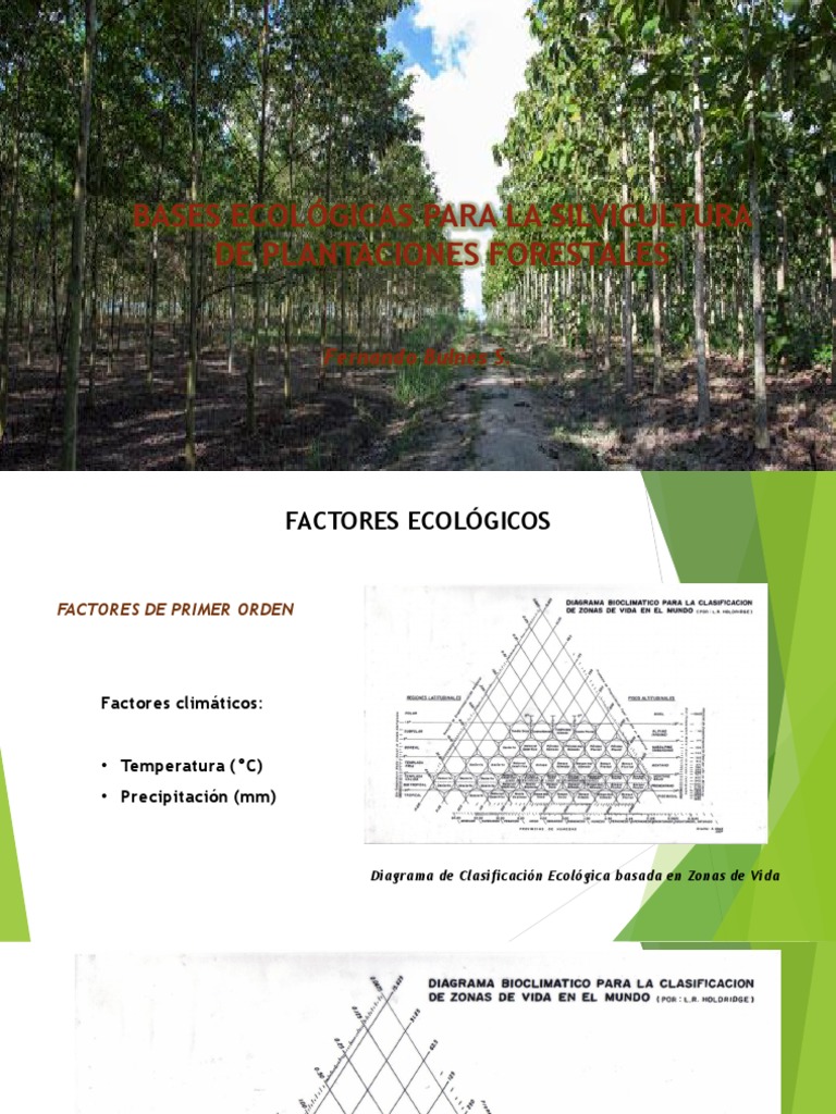 silvicultura-bases-ecol-gicas-y-ensayos-pdf-per-entorno-natural